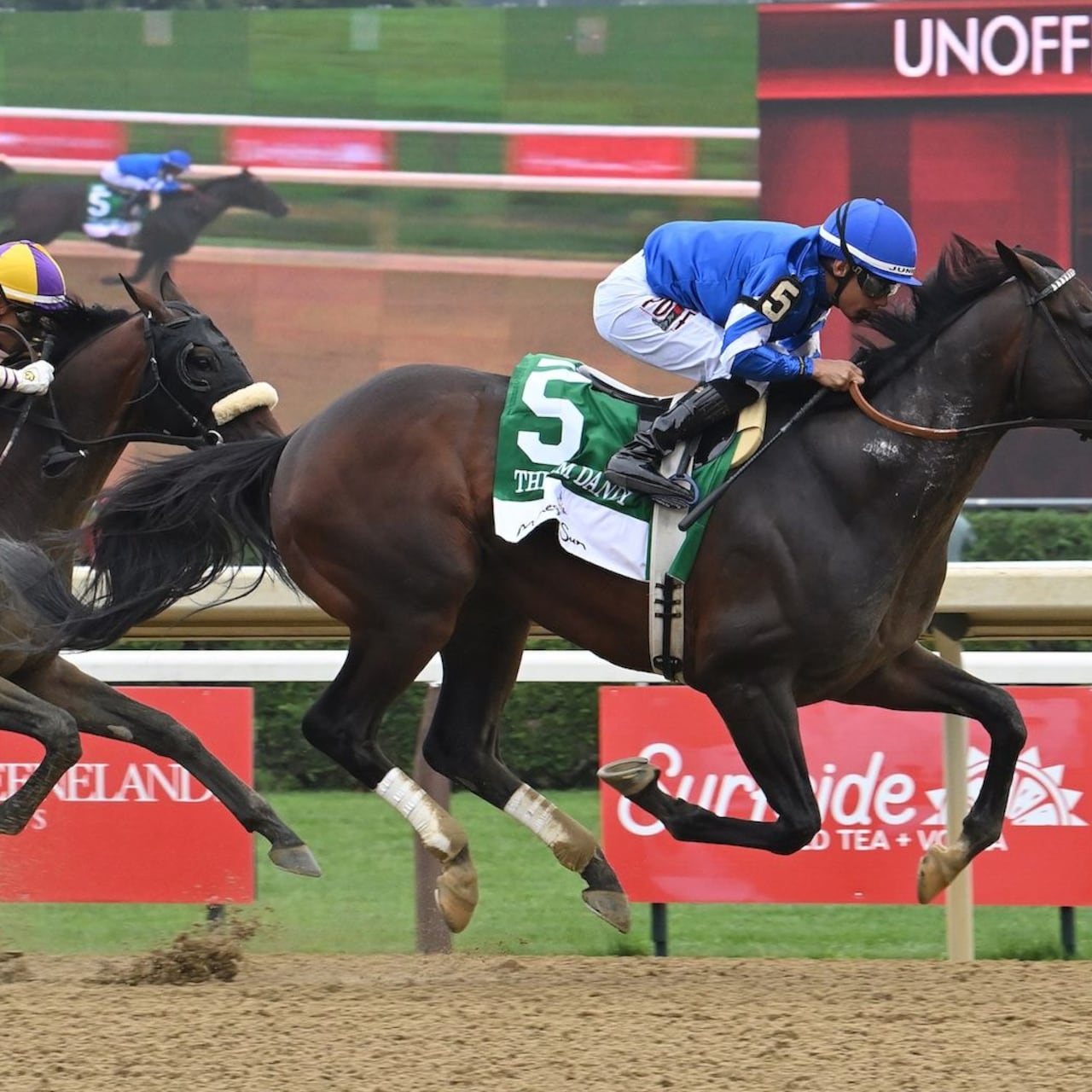 Sovereignty wins the 2025 Jim Dandy at Saratoga.