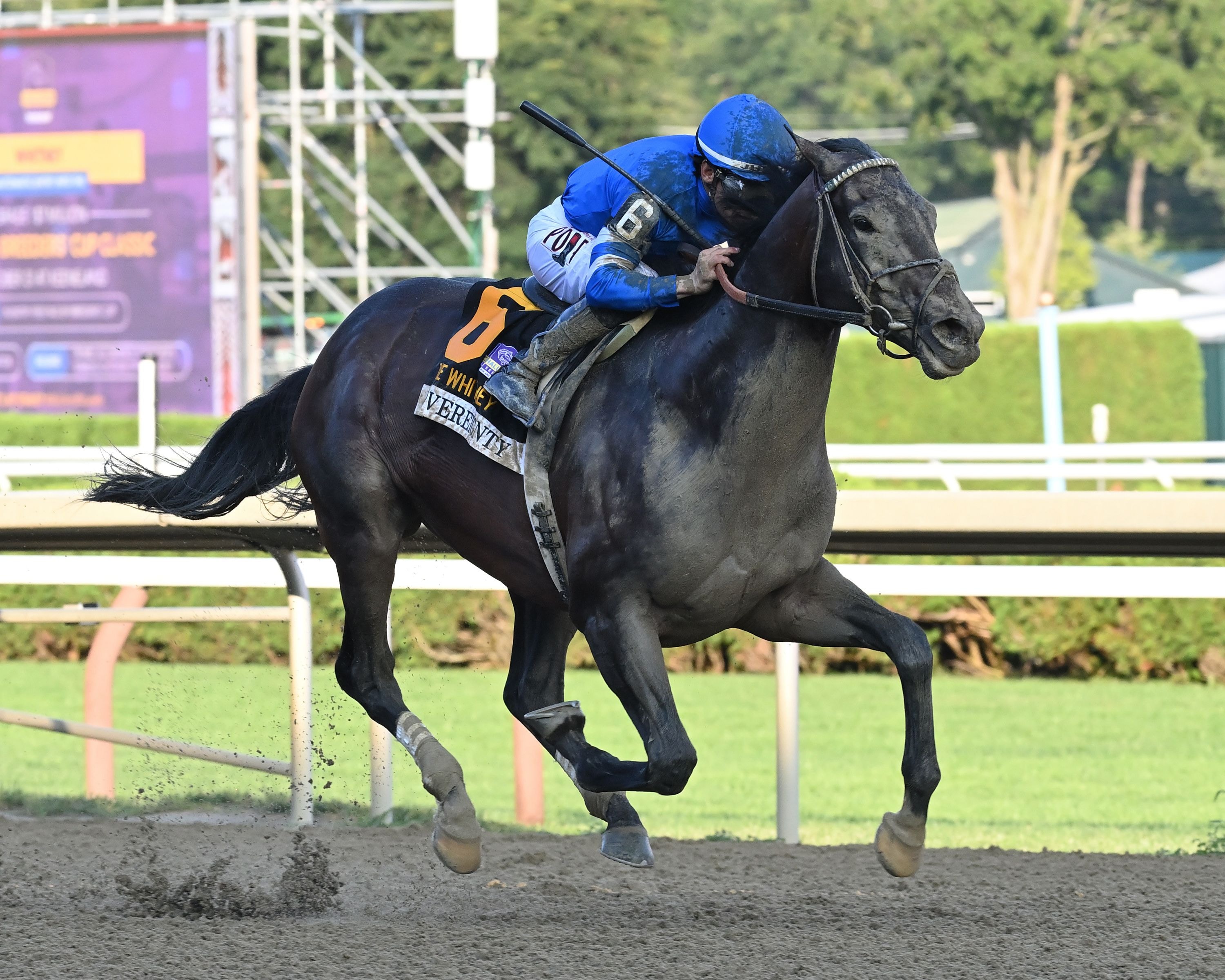 Sovereignty wins the Whitney Stakes at Saratoga.