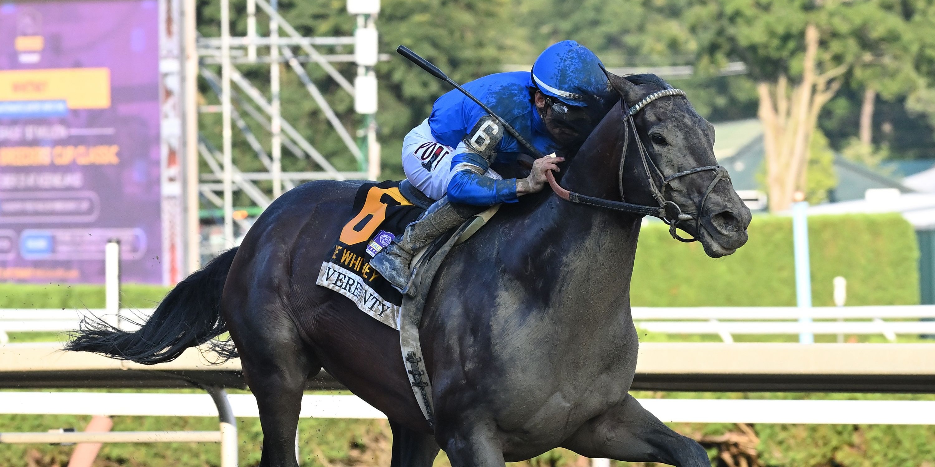 Sovereignty wins the Whitney Stakes at Saratoga.