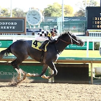 Speed King winning his debut at Churchill Downs (Photo by Coady Media)