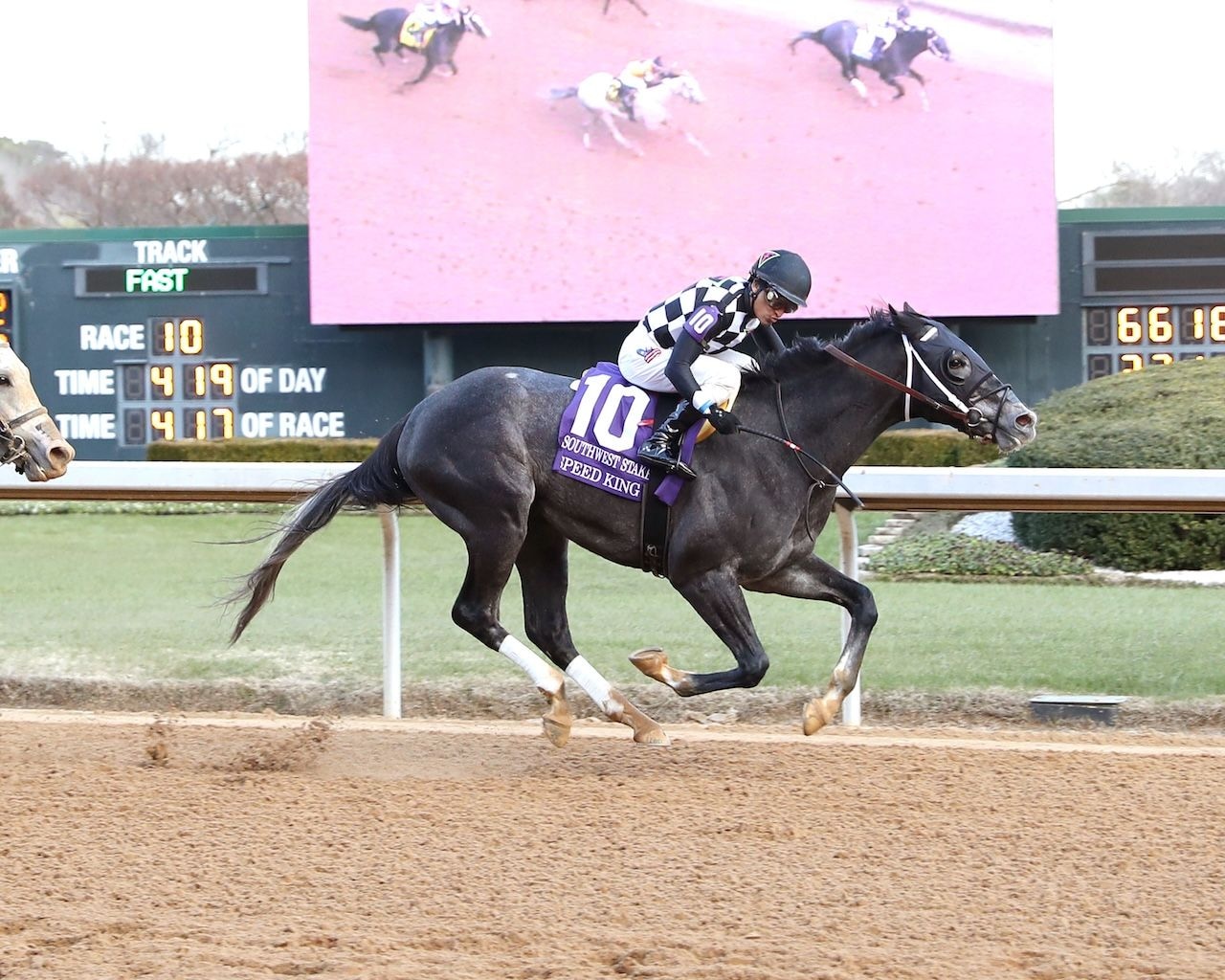 Speed King winning the Southwest (G3) at Oaklawn Park (Photo by Coady Media)