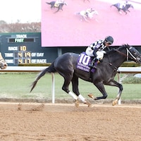 Speed King winning the Southwest (G3) at Oaklawn Park (Photo by Coady Media)