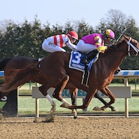 Speed Runner breaking his maiden at Aqueduct (Photo by Coglianese Photos)