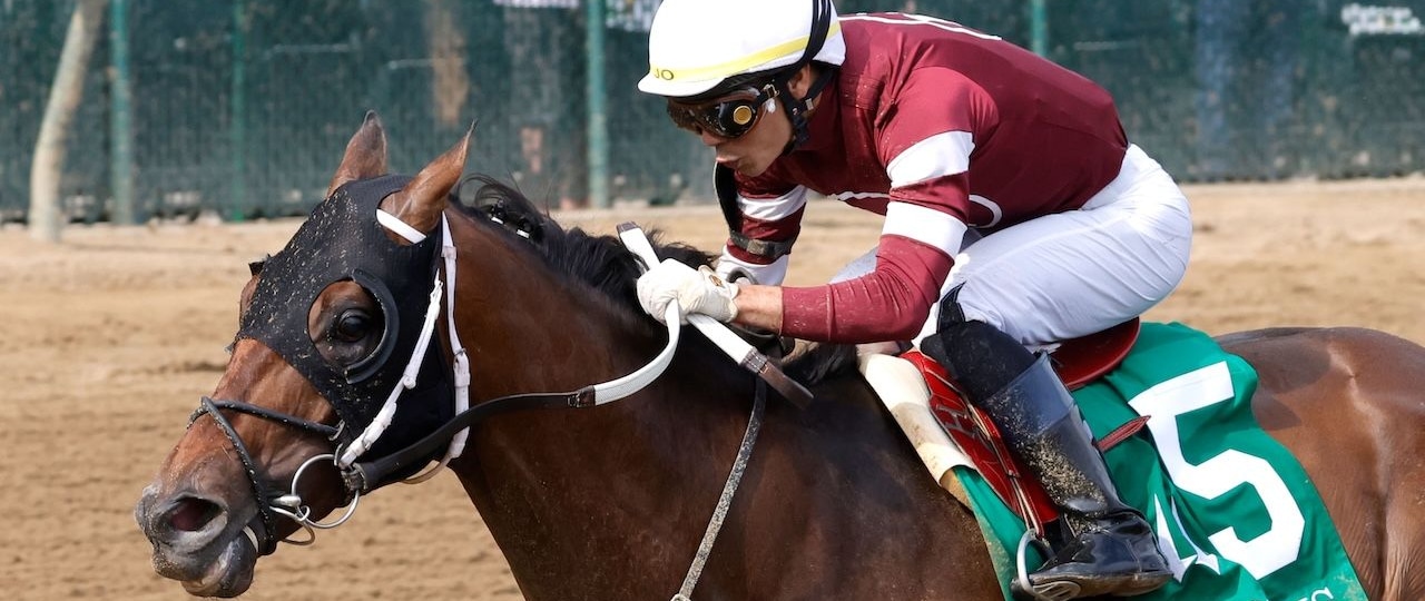 Spice Runner wins the Iroquois (G3) at Churchill Downs.