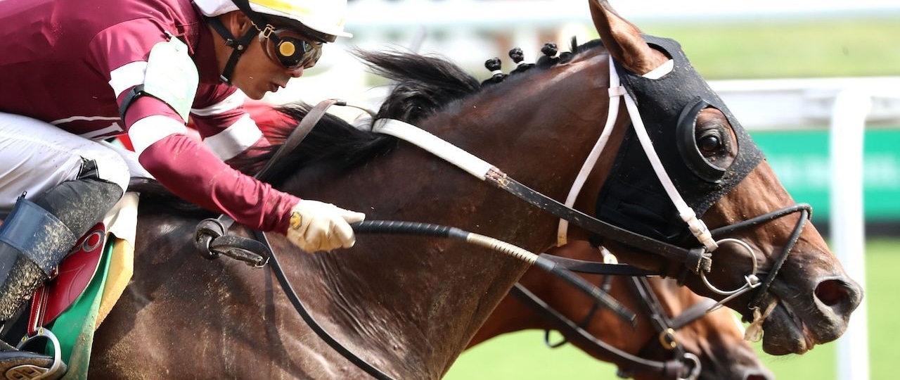 Spice Runner wins the Iroquois (G3) at Churchill Downs.
