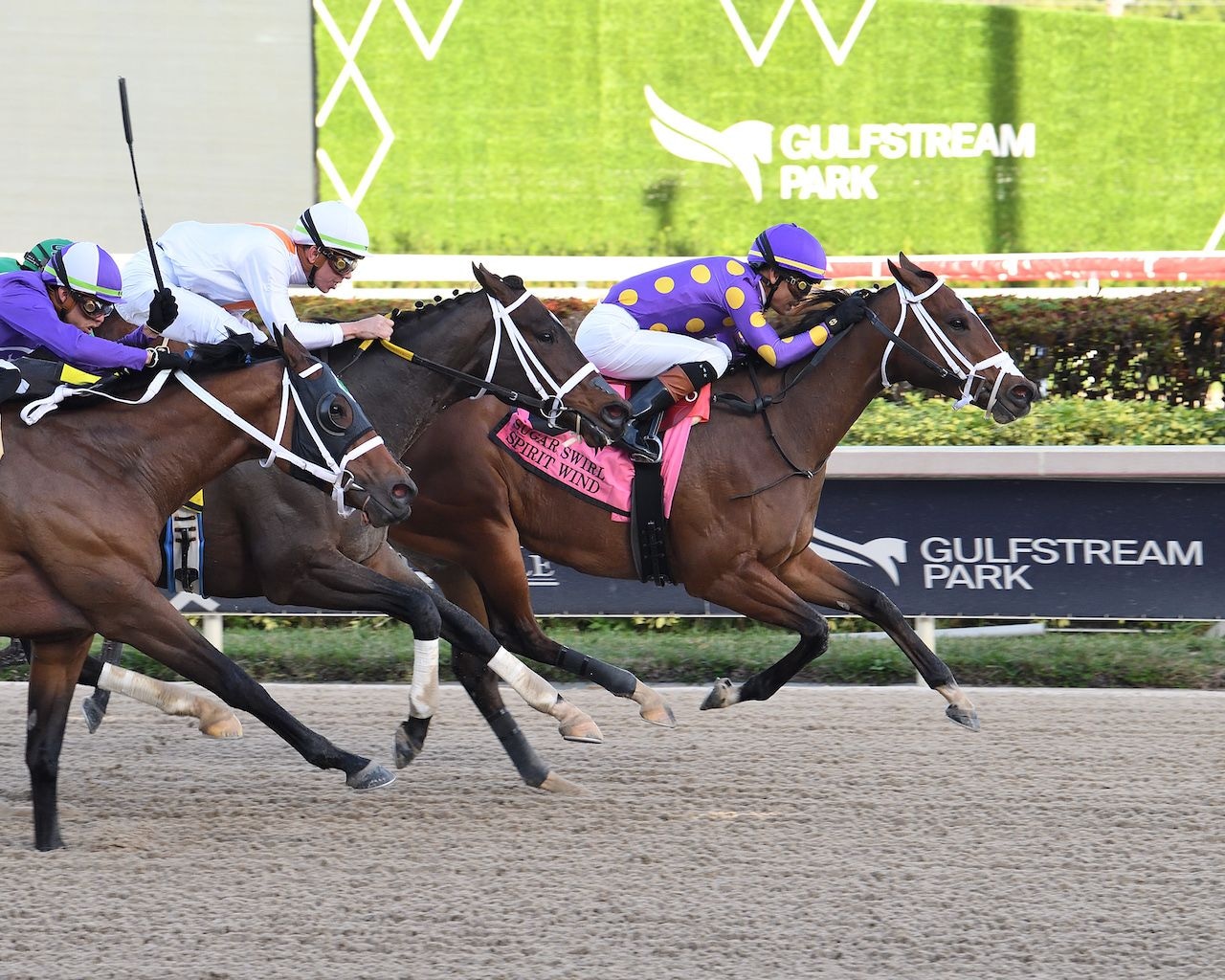 Spirit Wind wins the Sugar Swirl at Gulfstream