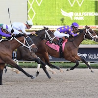 Spirit Wind wins the Sugar Swirl at Gulfstream