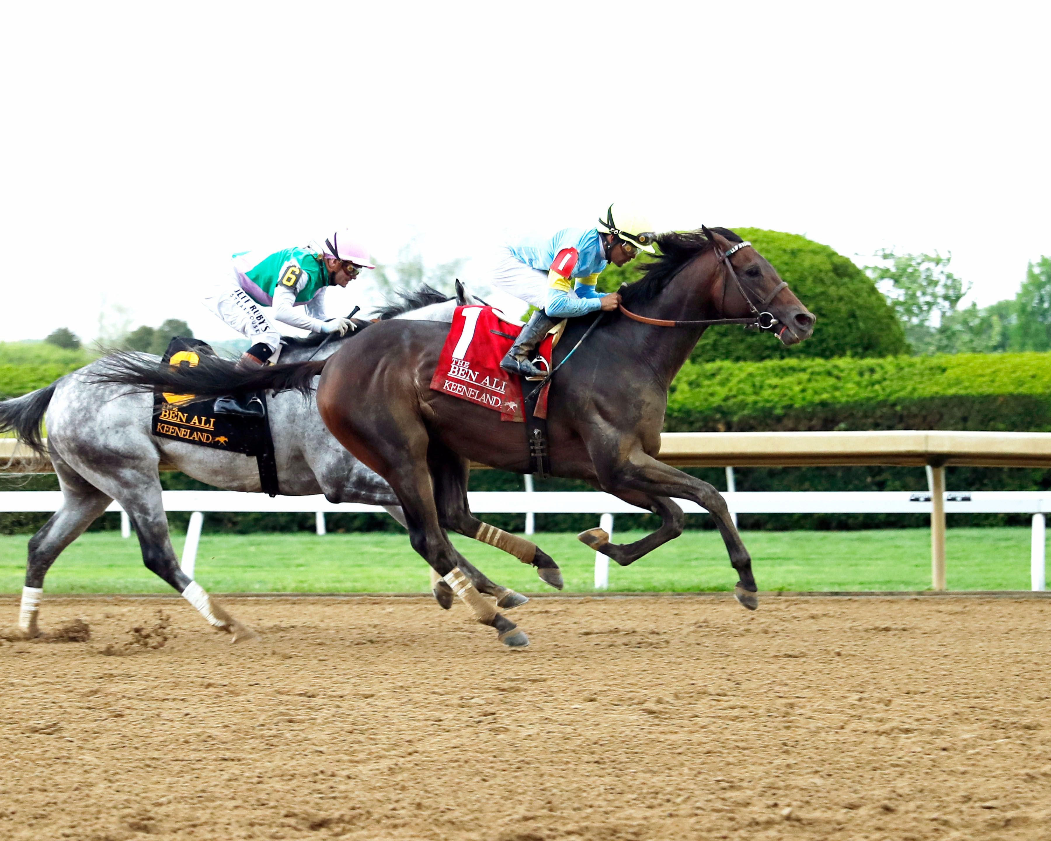 Stars and Stripes rallied to win the Ben Ali (G3)