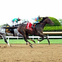 Stars and Stripes rallied to win the Ben Ali (G3)