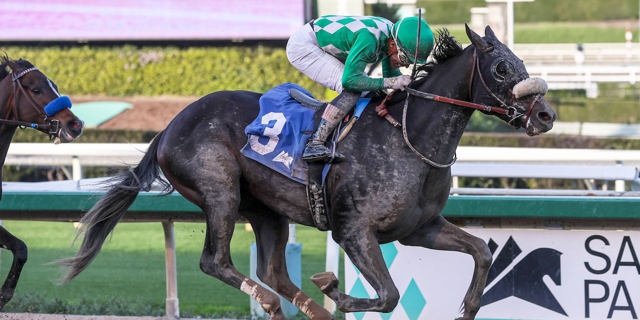 Start the Ride wins the California Chrome Cal Cup Derby at Santa Anita. 