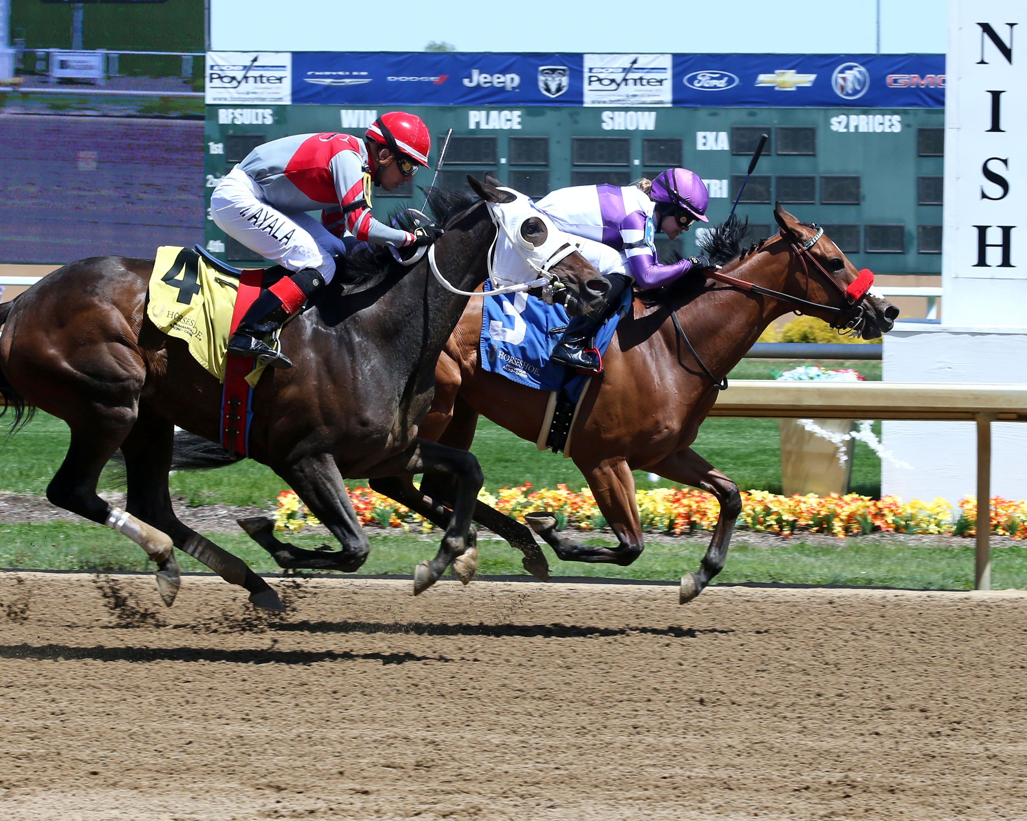Stay and Scam wins at Horseshoe Indianapolis.