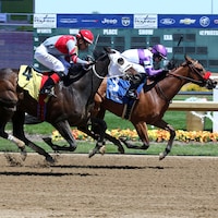 Stay and Scam wins at Horseshoe Indianapolis.