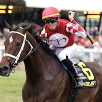 Stellify wired the Ladies Marathon (G3) in her stakes debut
