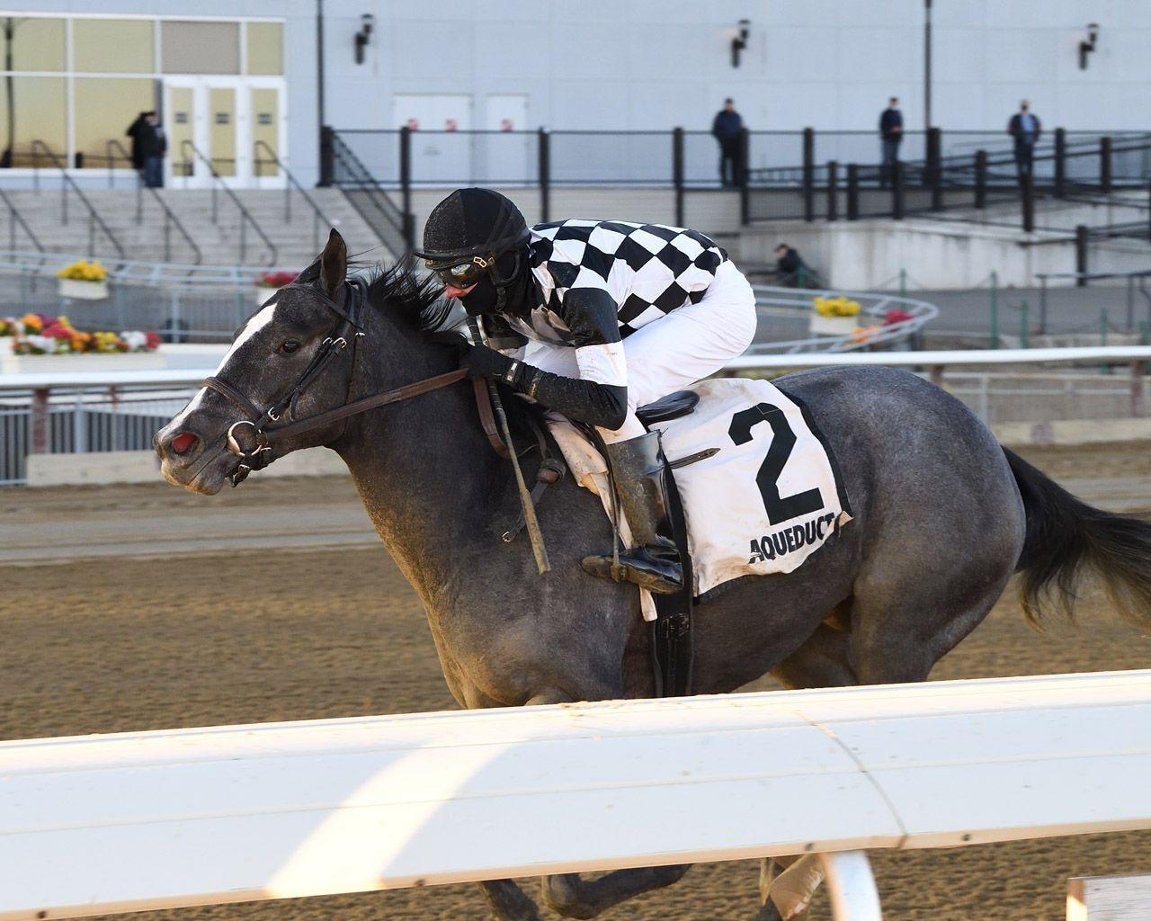 Sterling Silver wins the Franklin Square Stakes (Photo by Chelsea Durand/Coglianese Photos)