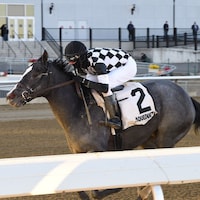 Sterling Silver wins the Franklin Square Stakes (Photo by Chelsea Durand/Coglianese Photos)