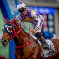 Stormy Grove wins the Hong Kong Classic Cup