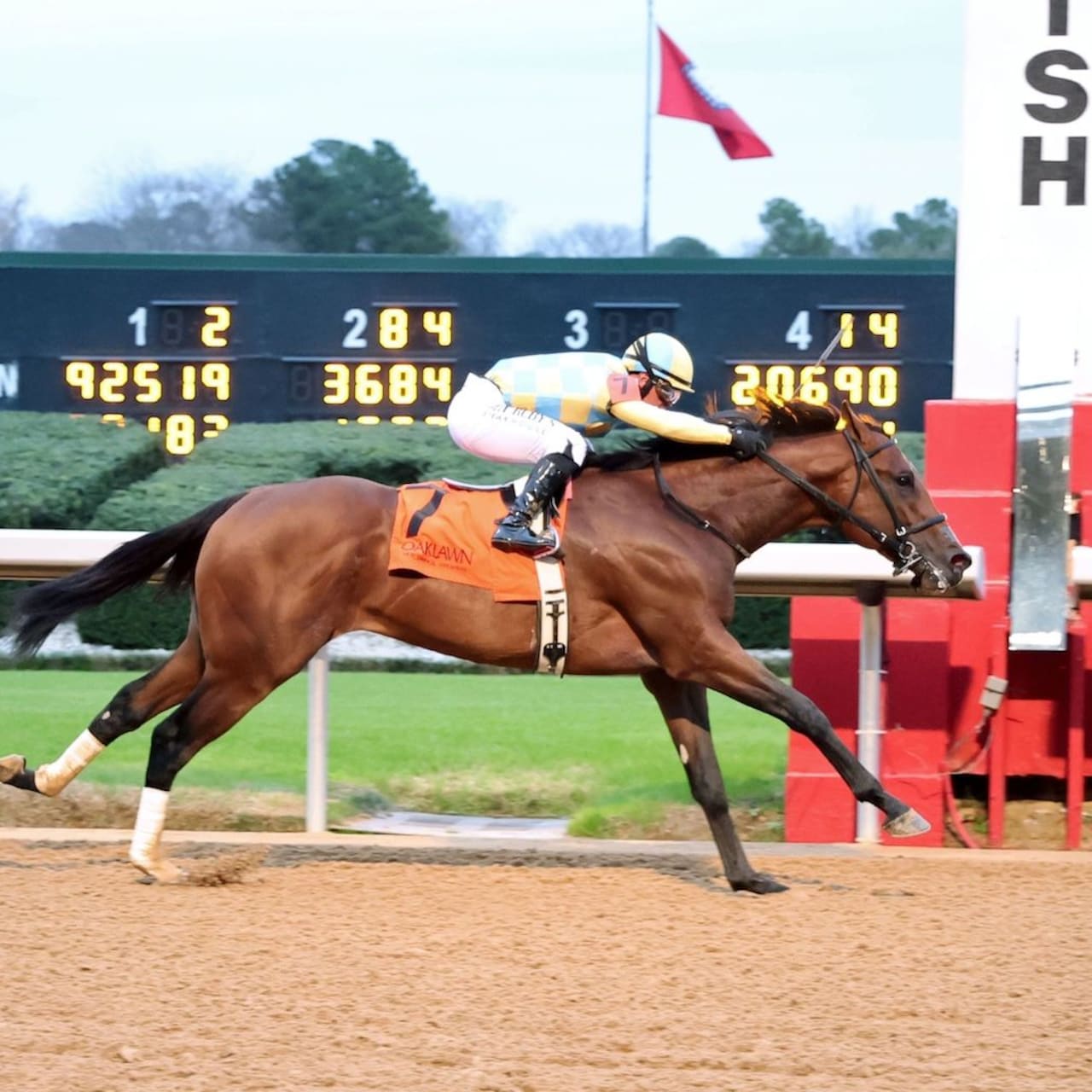 Strategic Risk wins the Smarty Jones at Oaklawn Park.