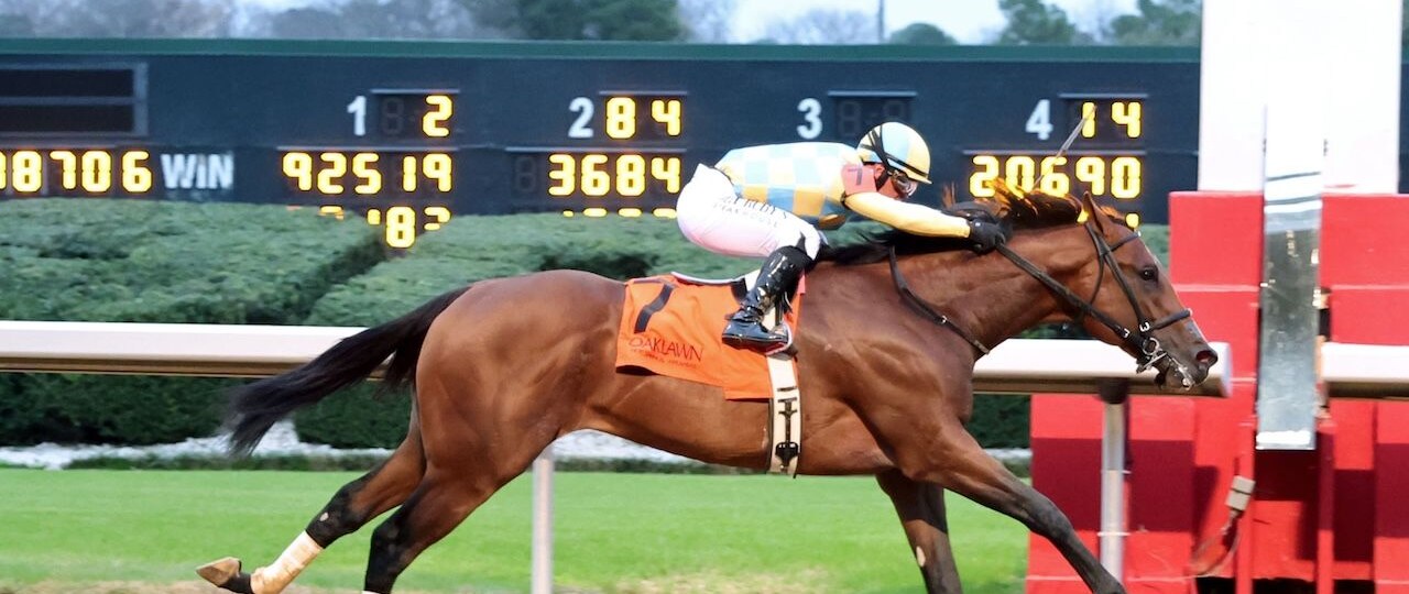 Strategic Risk wins the Smarty Jones at Oaklawn Park.