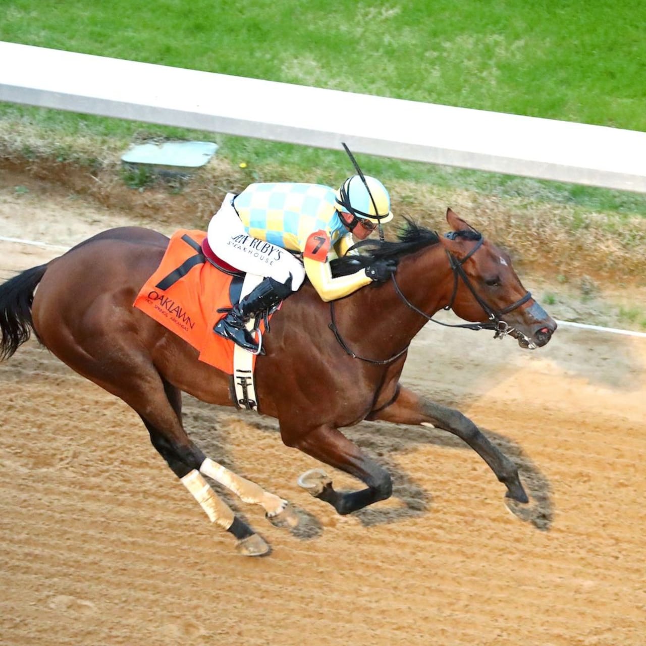 Strategic Risk wins the Smarty Jones at Oaklawn Park.
