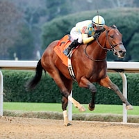 Strategic Risk wins the Smarty Jones at Oaklawn Park.