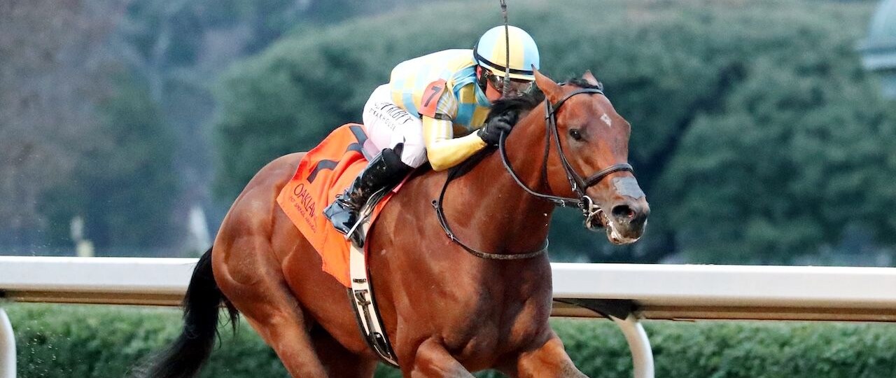 Strategic Risk wins the Smarty Jones at Oaklawn Park.