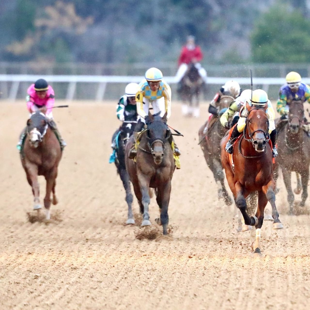 Strategic Risk wins the Smarty Jones at Oaklawn Park.