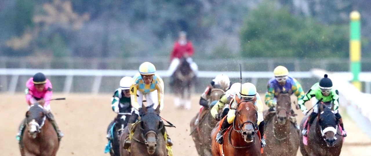 Strategic Risk wins the Smarty Jones at Oaklawn Park.