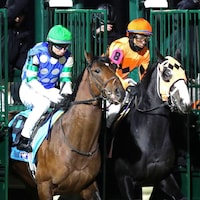Street Beast wins the Leonautus Stakes at Turfway Park.