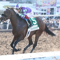 Stronghold winning the Sunland Park Derby (G3) at Sunland Park (Photo by Coady Photography)