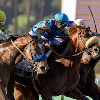 Subsanador (center) winning the California Crown (G1) at Santa Anita (Photo by Benoit Photo)
