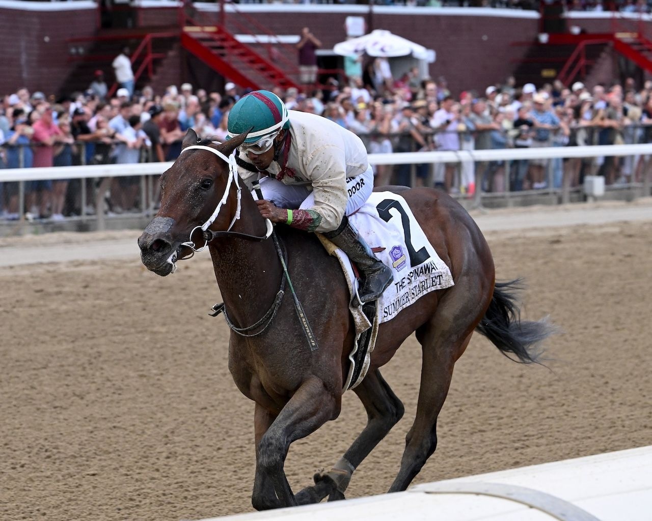Summer Starlet wins the Spinaway Stakes at Saratoga. 