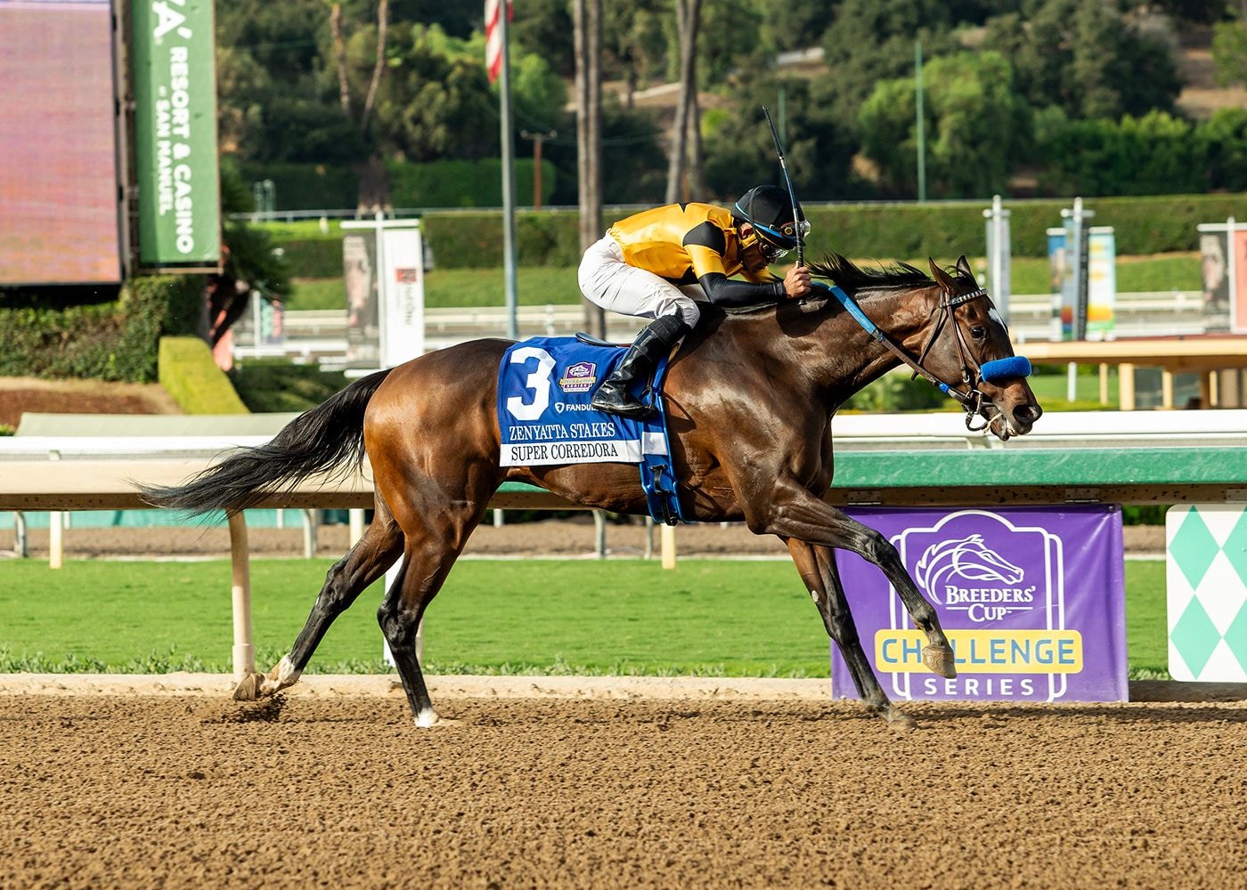 Super Corredora wired the Zenyatta (G2)