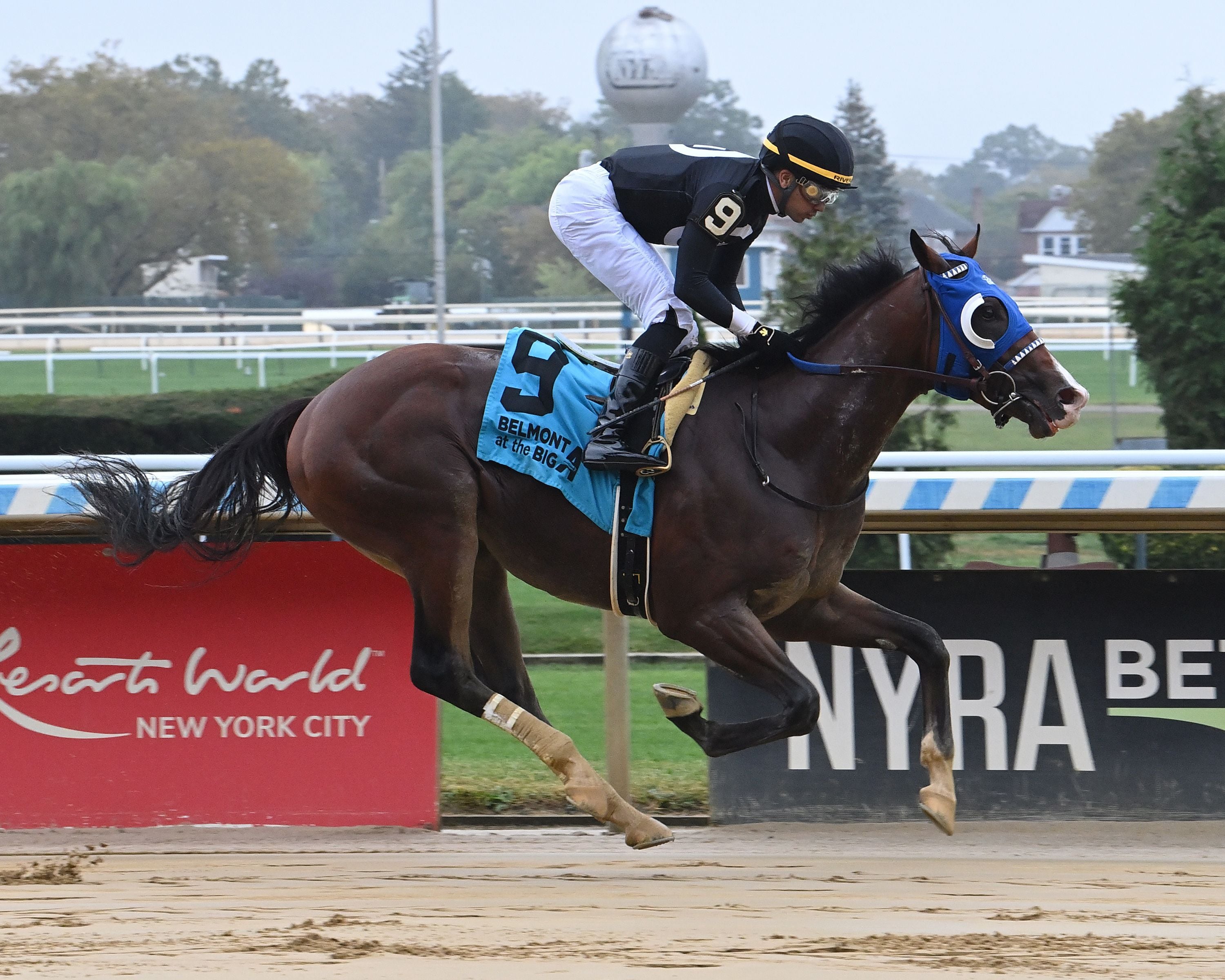 Supreme Good wins at Belmont at the Big A.