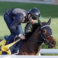 Survie exercising in Saudi Arabia ahead of the Neom Turf Cup (G1)