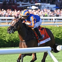 Survie wins the Christophe Clement (G1) at Saratoga.
