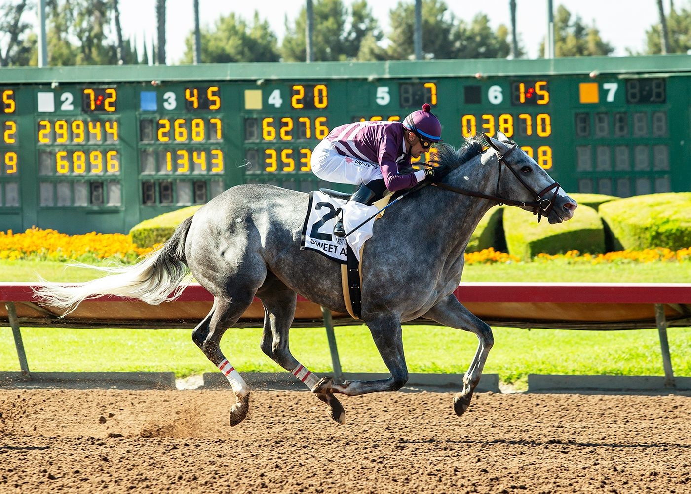 Sweet Azteca wins the 2025 Great Lady M.