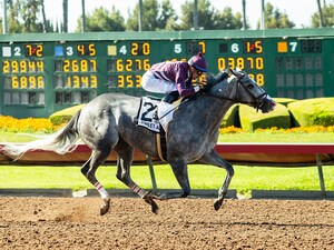 Sweet Azteca wins the 2025 Great Lady M.
