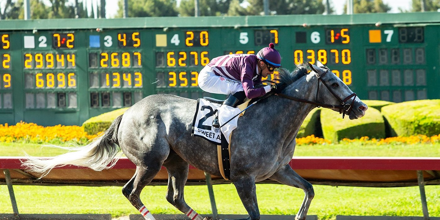 Sweet Azteca wins the 2025 Great Lady M.