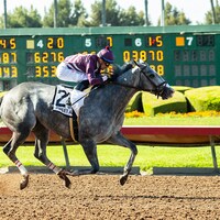 Sweet Azteca wins the 2025 Great Lady M.