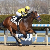 Sweet Brown Sugar winning the East View S. at Aqueduct