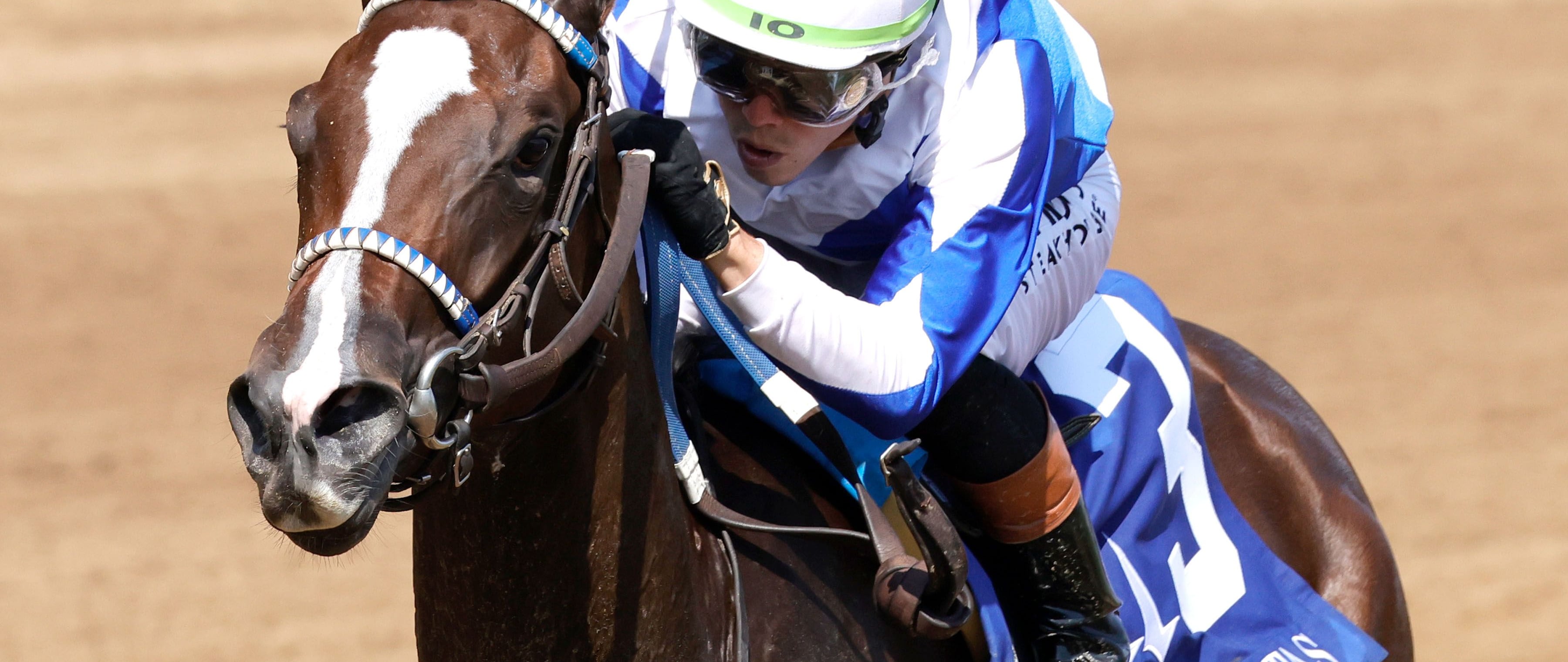 Taken By The Wind wins the Pocahontas Stakes at Churchill Downs.