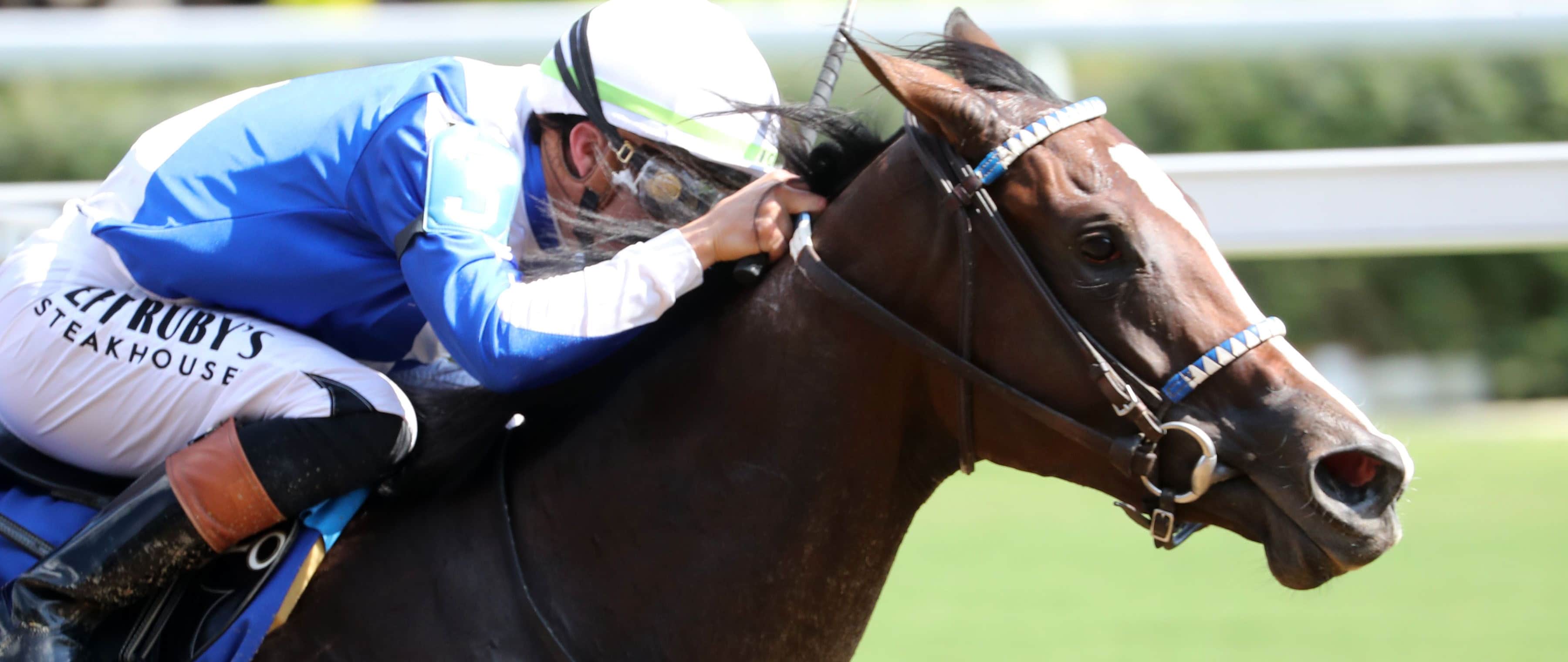 Taken By The Wind wins the Pocahontas Stakes at Churchill Downs.