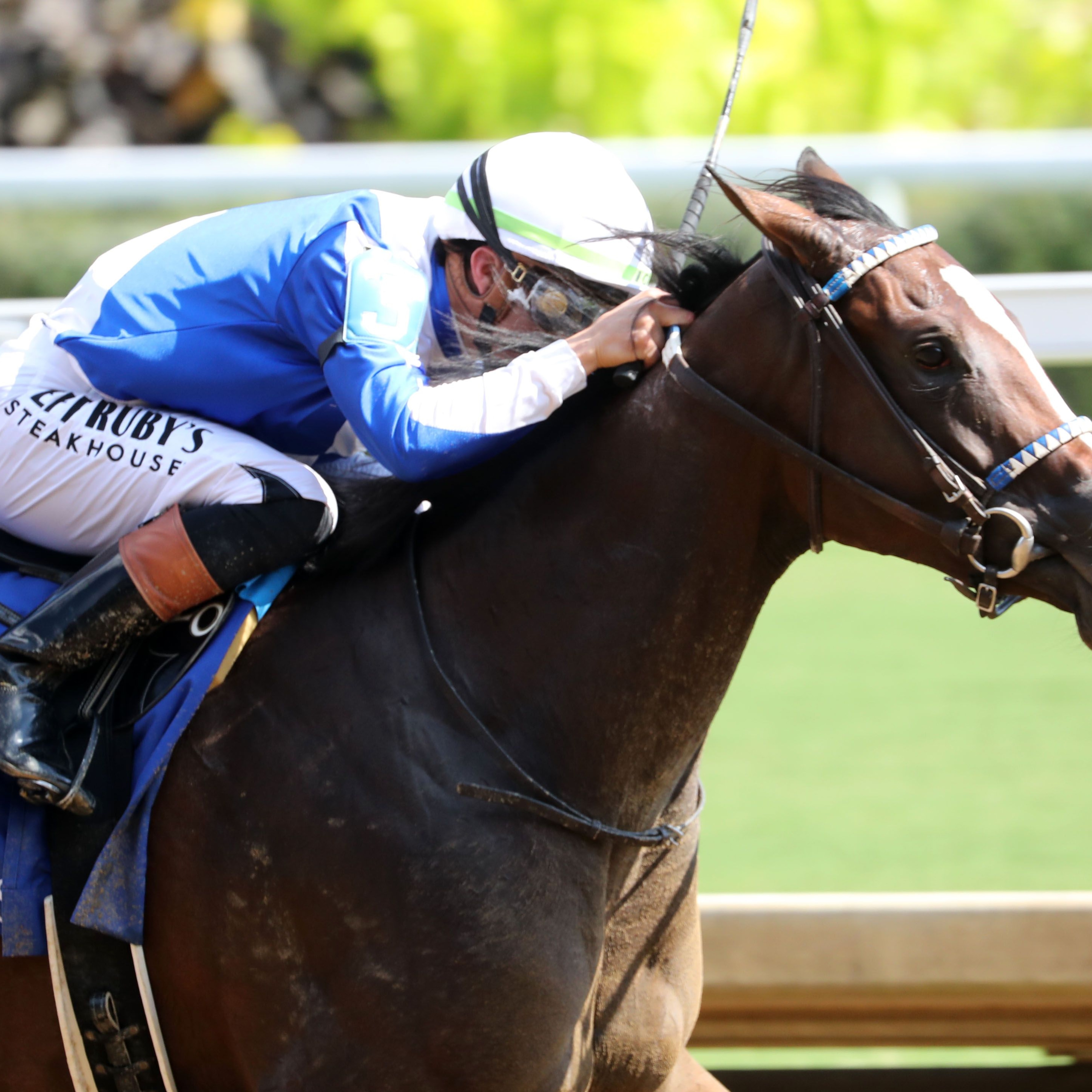 Taken By The Wind wins the Pocahontas Stakes at Churchill Downs.