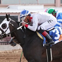 The Smooch wins the New Mexico Breeders' Derby at Sunland Park.