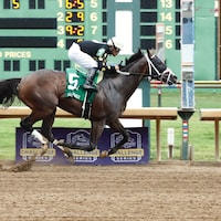 The Wine Steward is one of the top progeny by Vino Rosso in 2023. (Photo by Coady Photography)