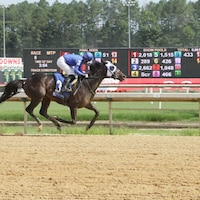 Think Big wins at Colonial Downs