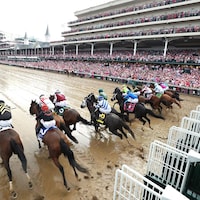 The field breaks from the starting gate in the 2024 Kentucky Oaks (G1) at Churchill Downs (Photo by Coady Media)