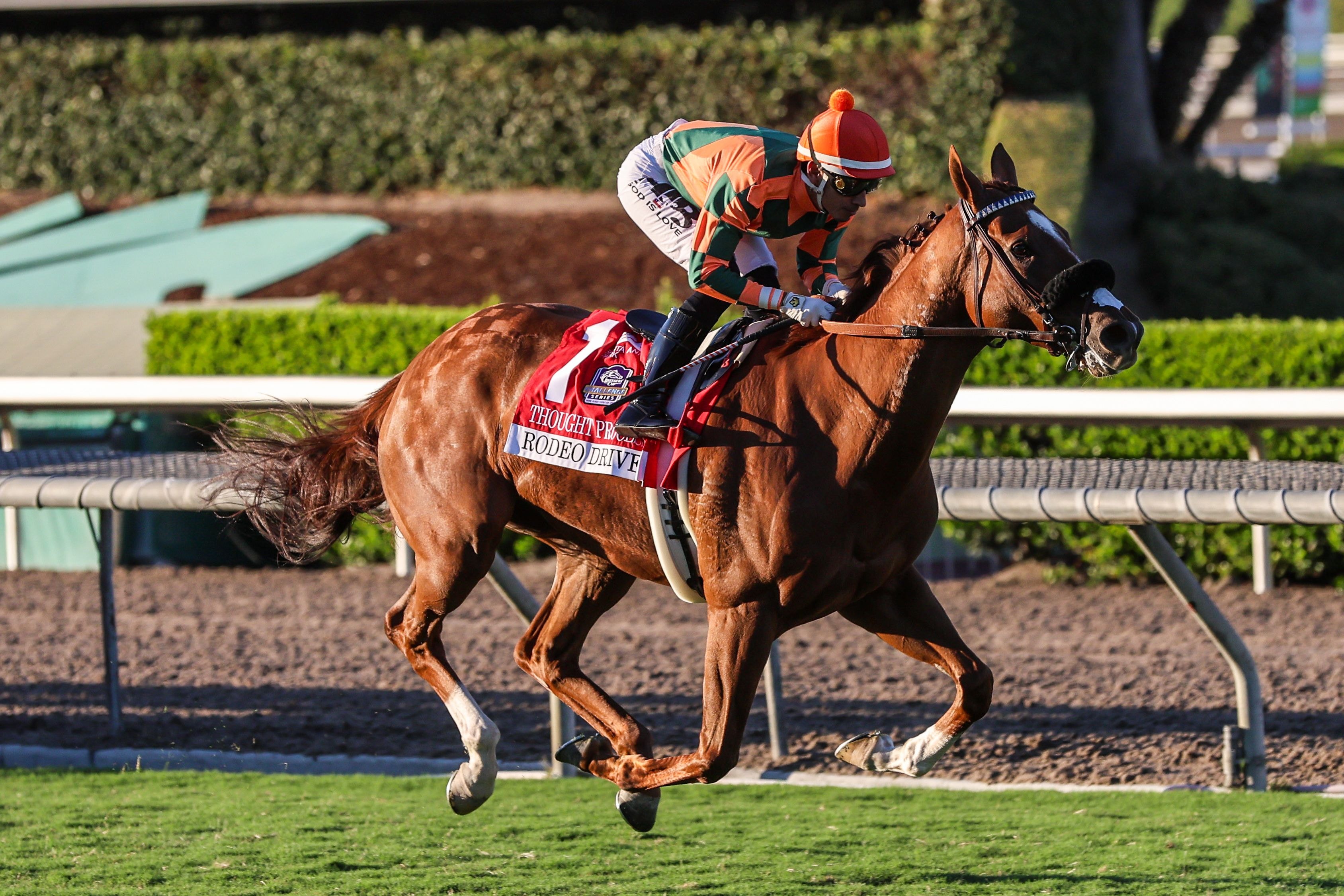 Thought Process wins the Rodeo Drive (G2) at Santa Anita.