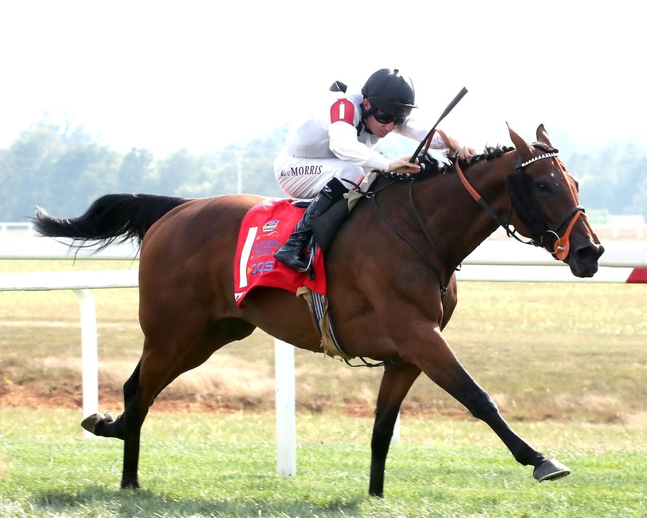 Tiffany wins the Kentucky Turf Cup (G2) at Kentucky Downs.