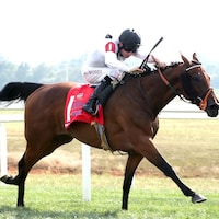 Tiffany wins the Kentucky Turf Cup (G2) at Kentucky Downs.